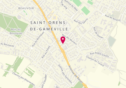 Plan de VICAT SUSINI Pauline, 12 Impasse Dordac, 31650 Saint-Orens-de-Gameville