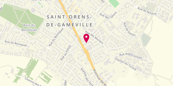 Plan de GANTE Philippe, 12 Impasse Dordac, 31650 Saint-Orens-de-Gameville