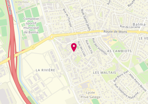 Plan de VERGEZ SURLES Aurélie, 4 Rue Georges de Buffon, 31130 Balma
