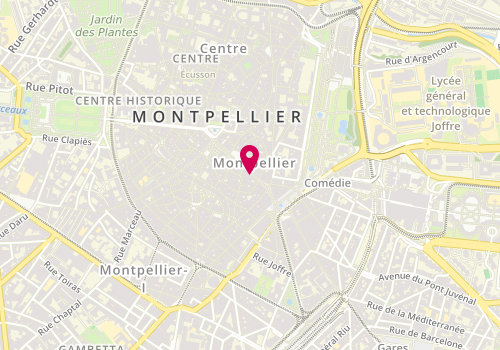 Plan de ZITOUN Gilles, 20 Rue de la Loge, 34000 Montpellier