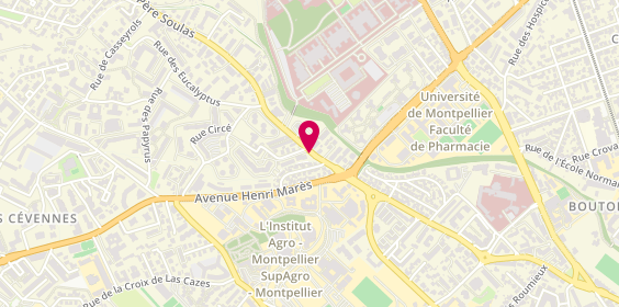 Plan de DESOLI Michaël, 1035 Avenue du Pere Soulas, 34090 Montpellier