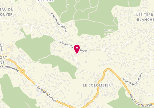 Plan de DAUBORD FOURNIER MARTINE, 599 Chemin du Plateau Fleury, 06330 Roquefort-les-Pins