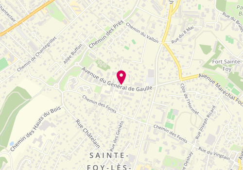 Plan de FAVIER LESAGE Camille, 27 Avenue General de Gaulle, 69110 Sainte-Foy-lès-Lyon
