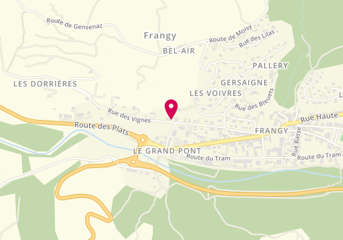 Plan de SELARL 'Docteur Jean-Philippe Veltz', 416 Rue des Vignes, 74270 Frangy
