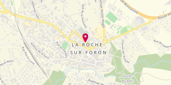 Plan de LANOE Sophie, 73 Avenue Charles de Gaulle, 74800 La Roche-sur-Foron