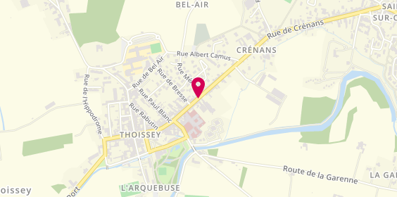Plan de DERRIEN François, 48 Faubourg des Dombes, 01140 Thoissey