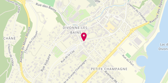 Plan de VIGNERON Andréa, 34 Avenue Marcel Anthonioz, 01220 Divonne-les-Bains