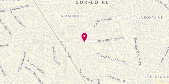 Plan de LEPINE CÉCILE Guindon, 2 Bis Rue de la Croix Bine, 44230 Saint-Sébastien-sur-Loire
