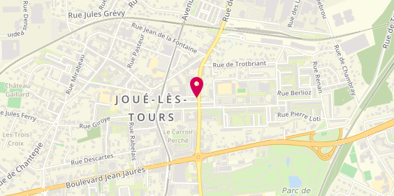 Plan de HATU Ilie, 51 Rue des Martyrs, 37300 Joué-lès-Tours