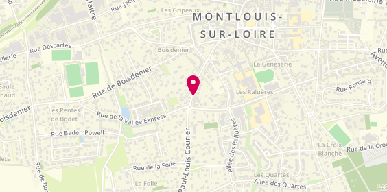 Plan de PROUST Nicolas, 29 Ter Avenue Paul Louis Courier, 37270 Montlouis-sur-Loire