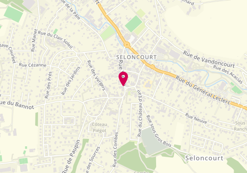 Plan de SUISSA Elie, 48 Rue Viette, 25230 Seloncourt