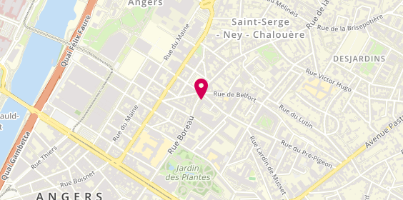 Plan de SELARL du Docteur Trevidic, 3 Rue Boreau, 49100 Angers