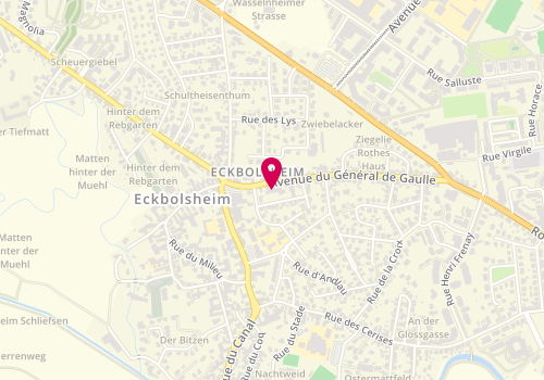 Plan de LE VIENNESSE Mathis, 49 Avenue du Général de Gaulle, 67201 Eckbolsheim