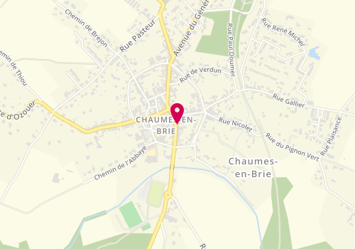 Plan de MICHEL Céline, 28 Rue Foix, 77390 Chaumes-en-Brie