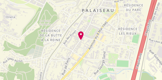 Plan de HAIUN Bernard, 163 Rue de Paris, 91120 Palaiseau