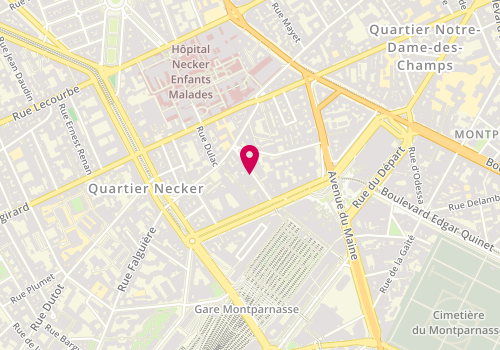 Plan de LÉVY Johanna, 12 Rue Armand Moisant, 75015 Paris