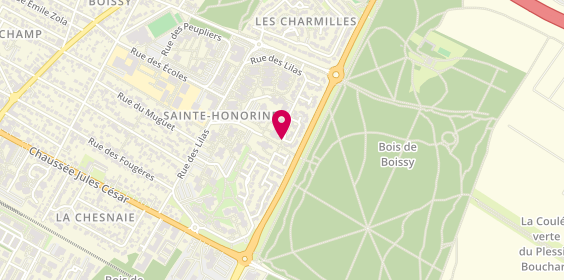 Plan de DECHAMPS Valérie, 74 Rue des Lilas, 95150 Taverny